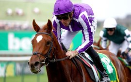 Breeders’ Cup Friday: Which European runners have the best chance of success at Del Mar?