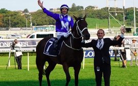 Chris Waller: The higher we raised the bar for Winx, the higher she went