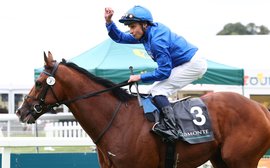 What’s been happening: Ombudsman triumphant, Sovereignty and Thorpedo Anna at Saratoga, Hollie Doyle and more ...