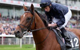 What’s been happening: City Of Troy stud plans, latest Breeders’ Cup news, Economics-Calandagan clash and more …