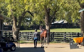 A life after racing: five questions for Lauren Millet of LongRun Thoroughbred Retirement Society