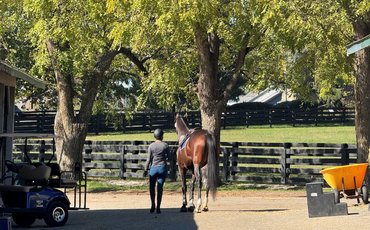A life after racing: five questions for Lauren Millet of LongRun Thoroughbred Retirement Society