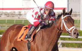 Rider on the rise: not even the Pegasus can keep Jose Ortiz in the shade