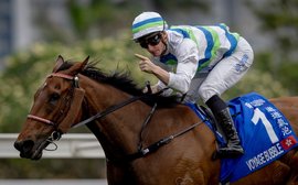 ‘He’s just a brilliant racehorse’ – Triple Crown hero Voyage Bubble makes it three in the world top five for Hong Kong