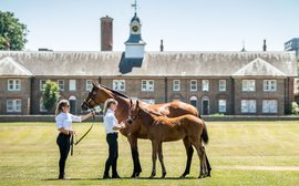 Expect even better horses and more diverse buyers thanks to exciting developments at Goffs London Sale