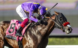 What’s been happening: Mystik Dan last of six, death of Uncle Mo, Do Deuce retired, Meydan latest and more …