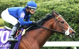 ‘The fastest of the fast’ – Golden Pal ready for Royal Ascot after Keeneland blitz