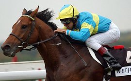 ‘He was the Muhammad Ali of the racing world’ – saluting the formidable Falbrav