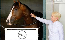 The shy grandmother who is Todd Pletcher’s director of operations for Royal Ascot (among other places)