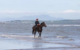 TRC readers' photographs: three shots from Ireland