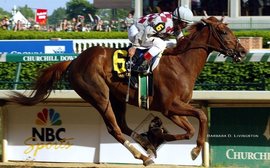 Funny Cide: ‘You couldn’t help but fall in love with him’ – remembering a blue-collar Kentucky Derby hero