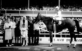 Tizna: the mare for all seasons who became a national hero