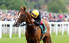 Farewell to a legend: Stradivarius retired and set for National Stud