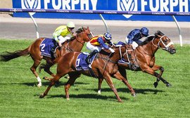 Royal Ascot mission confirmed for star Aussie sprinter Home Affairs