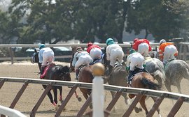 The bone disease treatment drugs that may be putting young horses at risk