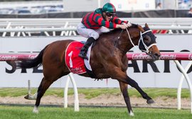 What’s been happening in the racing industry around the world