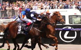 Are homebred stayers on the way back down under? Maybe - but only if racing acts to keep up the momentum