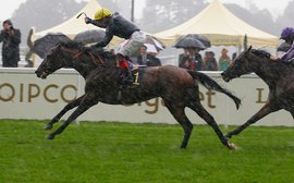 81 Royal Ascot winners and counting: you’ve got to hand it to Sir Michael