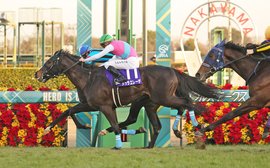 Kentucky Derby no-go: Japan’s UAE Derby runner-up Dura Erede stays home – and Brave Emperor unlikely