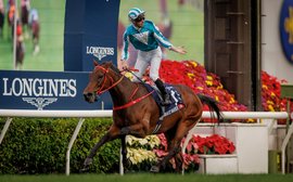 ‘He's the best – forget the rest’ – world #1 Romantic Warrior set for Saudi Cup after breaking prize-money record