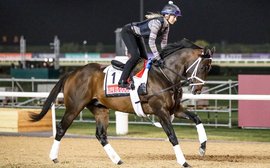 Dubai World Cup: the stage is set for something spectacular from Life Is Good