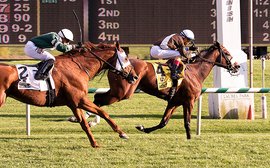 Phlash Phelps to miss bid for Maryland Million hat-trick