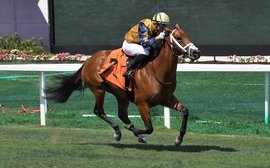 Royal Ascot here we come: dominant double for George Weaver in ‘win and you’re in’ qualifiers at Gulfstream