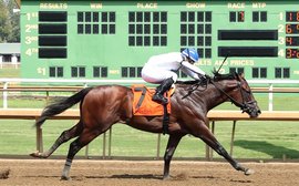 Pace makes the race – and with Owen Almighty back in the running, there should be plenty of speed about