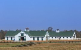 Justify’s connections pledge support for New Vocations adoption program