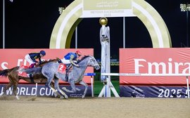 World rankings update: Romantic Warrior hangs on to #1 spot despite Dubai defeat