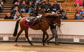 What’s been happening: Big money at Tattersalls, Ryan Moore returns, Jorge Chavez recovering after surgery and more …