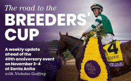 ‘When we get to Santa Anita, he’s going to be hard to catch’ – all the latest Breeders’ Cup news, replays and betting