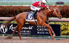 It’s so hard to say goodbye to Gun Runner the Magnificent