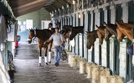 What’s been happening: Haskell date for Journalism, Sovereignty latest, ketamine fine for Gosdens and more …