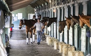 What’s been happening: Haskell date for Journalism, Sovereignty latest, ketamine fine for Gosdens and more …