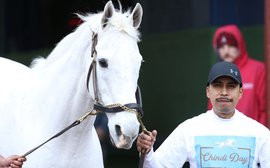 Chindi, the snow-white legend of Oaklawn Park, dies aged 29