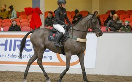 A life after racing: Woodland Opera – ‘a real showman who just loves attention of any kind’