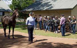 The Chinese interns who have been seeing how things are done in Australia