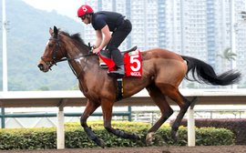 Aidan O’Brien optimistic as Magical & Co. bid for Hong Kong glory