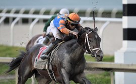 Kentucky Derby favourite Forte continues march up world rankings with fourth G1 win in Florida Derby