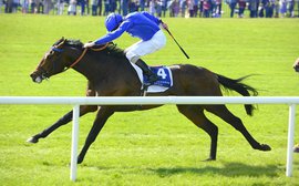 How Godolphin's new approach has put them on the verge of Derby glory