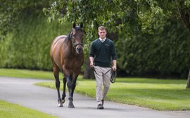 The ten most profitable yearling sires of 2020 in Britain and Ireland