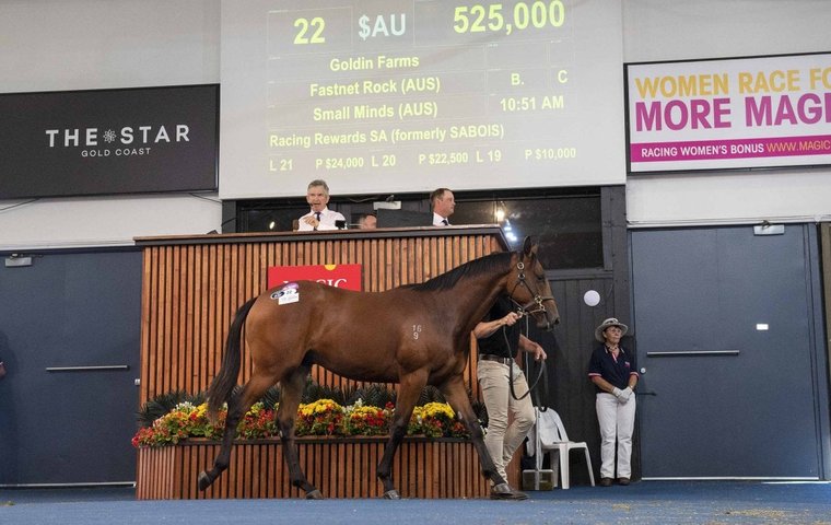 Sale Preview: Magic Millions Adelaide Yearling Sale