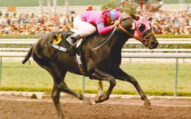 ‘The little black colt who humbled the best of his generation’ – Jay Hovdey on Snow Chief