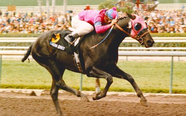 ‘The little black colt who humbled the best of his generation’ – Jay Hovdey on Snow Chief