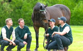 Juddmonte mourns loss of outstanding sire Dansili