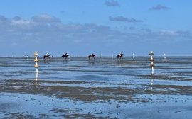 Here’s mud in your eye: spotlight on German beach racing