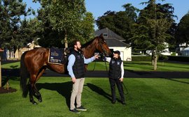 Royal Ascot: Aussie sprint stars Coolangatta and Cannonball get match practice ready for King’s Stand showdown