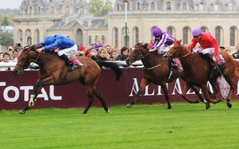 Breeders’ Cup countdown: who won what on the international stage