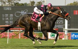 ‘Grace under pressure, time and time again … a horse who refused to lose’ – Jay Hovdey on Lava Man